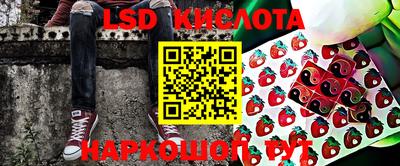 прущие грибы Кингисепп