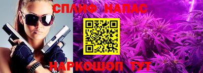 a pvp Кимры