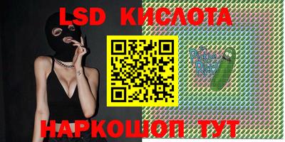 прущие грибы Кингисепп