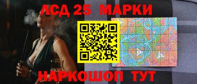 прущие грибы Кингисепп