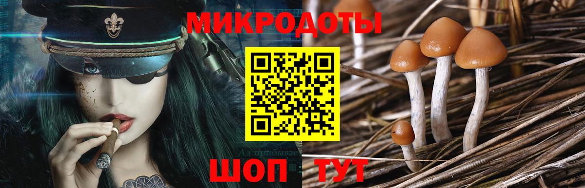 Псилоцибиновые грибы прущие грибы  Псилоцибиновые грибы Psilocybine cubensis  Кубинка  Вход с VPN 